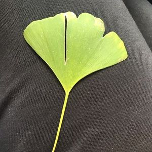 Meet your Posher, Terri